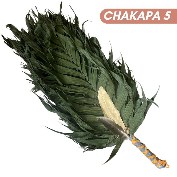 Chakapas Ceremonial Sound Tool