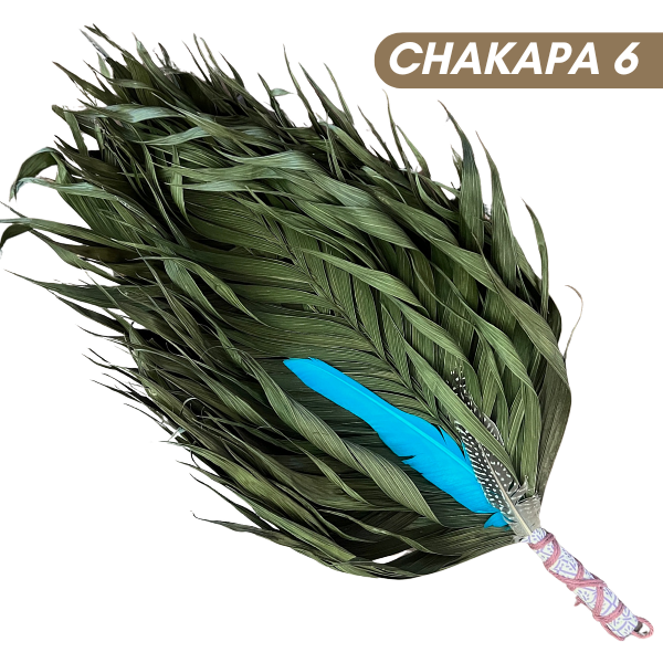 Chakapas Ceremonial Sound Tool