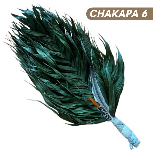Chakapas