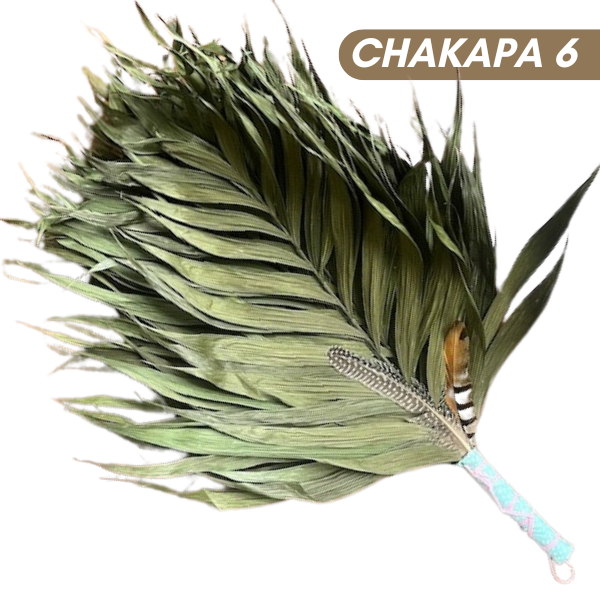 Chakapas Ceremonial Sound Tool