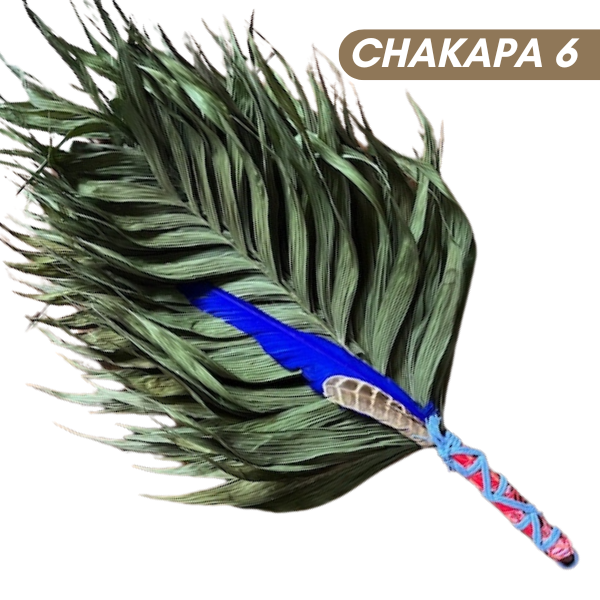 Chakapas Ceremonial Sound Tool