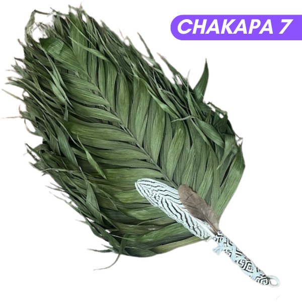Chakapas Ceremonial Sound Tool
