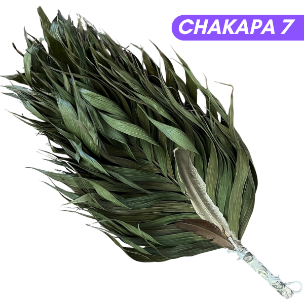 Chakapas Ceremonial Sound Tool