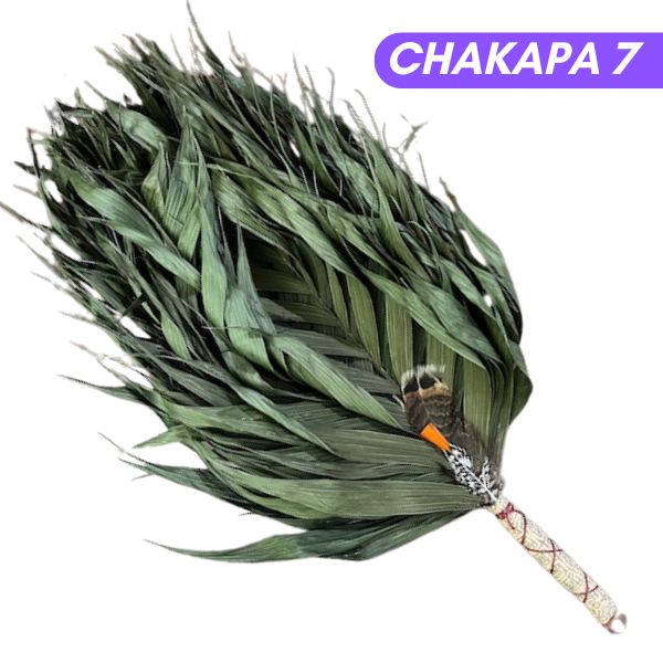 Chakapas Ceremonial Sound Tool