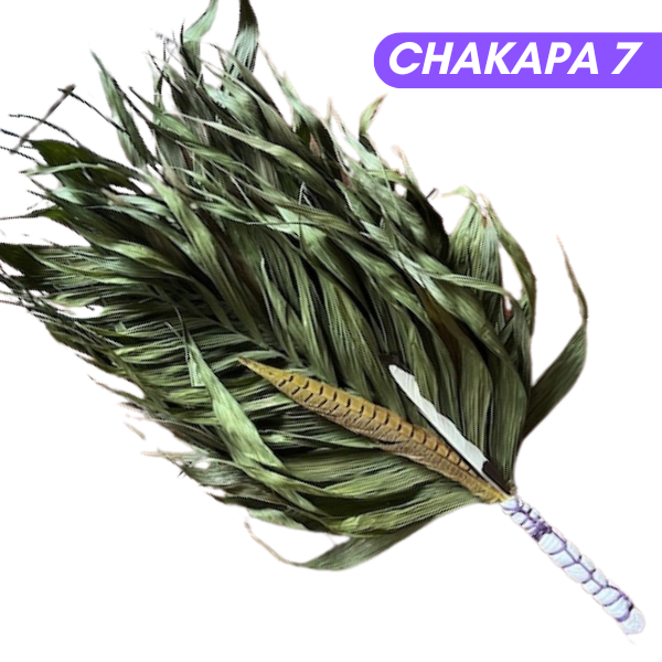 Chakapas Ceremonial Sound Tool