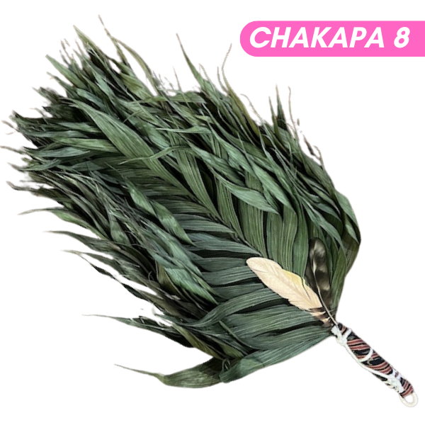 Chakapas Ceremonial Sound Tool
