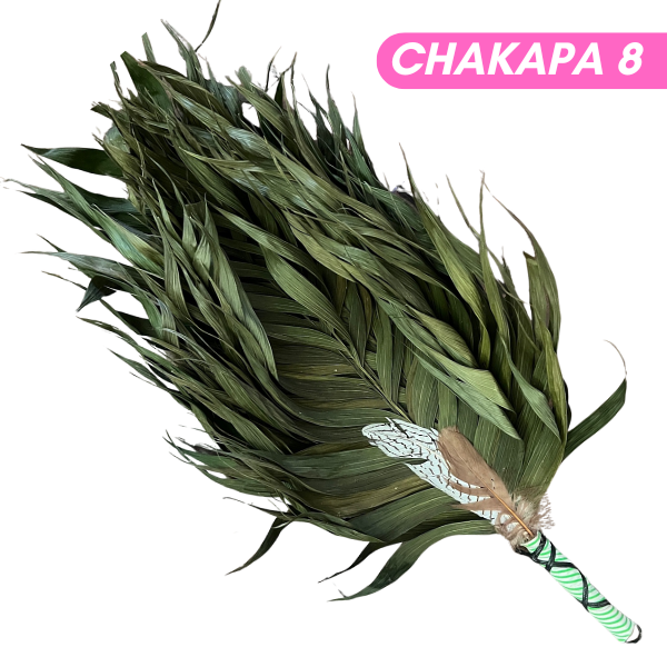 Chakapas Ceremonial Sound Tool
