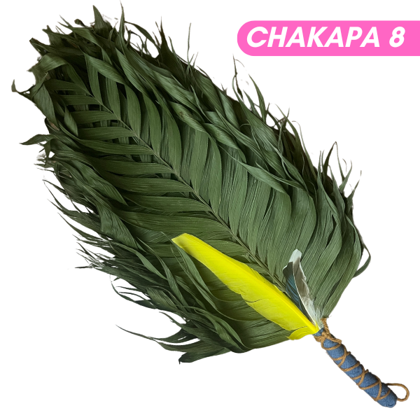 Chakapas Ceremonial Sound Tool