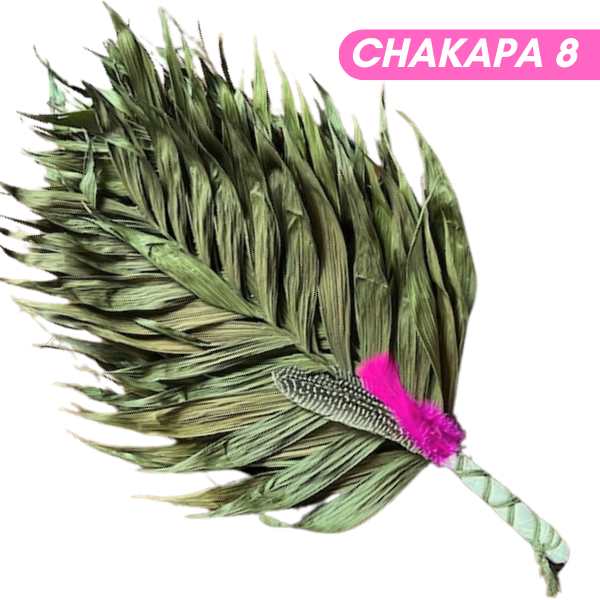 Chakapas Ceremonial Sound Tool