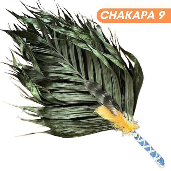 Chakapas Ceremonial Sound Tool