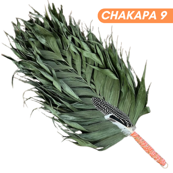 Chakapas Ceremonial Sound Tool