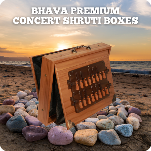 ready to play wooden Bhava Premium Concert Shruti Box sitting on a circle of rocks with a sunset beach background 