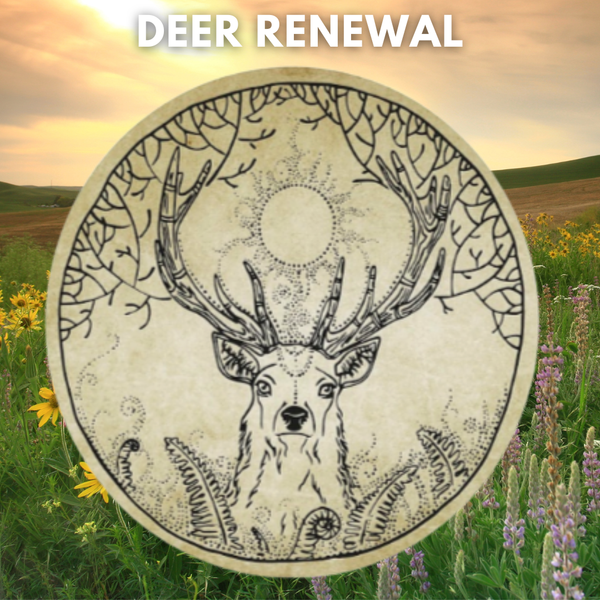 Nazar Vegan Drums Beautiful Sounds Healing Music Instruments