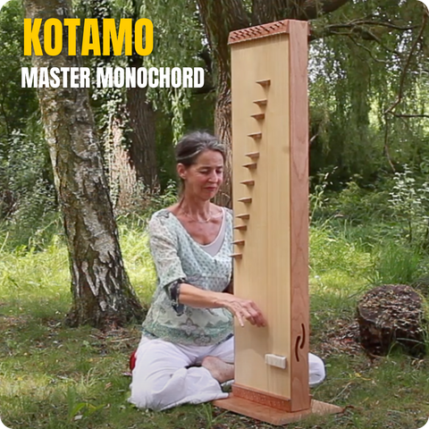KoTaMo Master Monochord