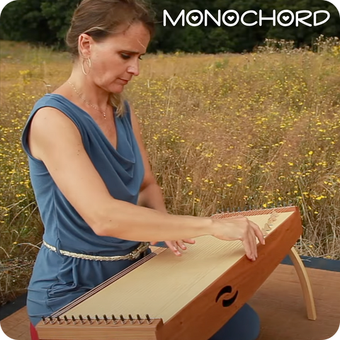 Feeltone Monochord Monolina Beautiful Sounds Healing Music Instruments