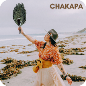 Chakapa Sacred Sound Healing Beautiful Sounds Healing Music Instruments