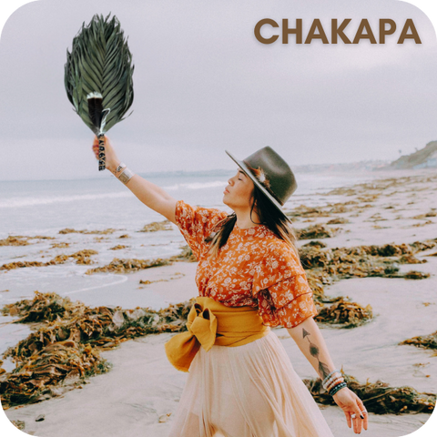 Chakapa Sacred Sound Healing Beautiful Sounds Healing Music Instruments